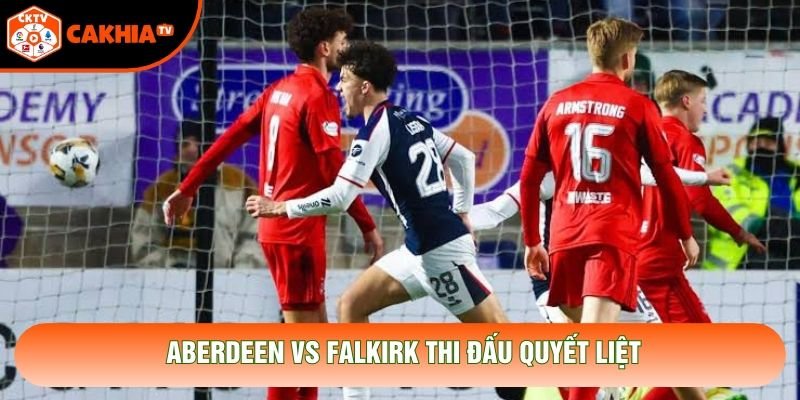 Aberdeen vs Falkirk thi đấu quyết liệt Aberdeen vs Falkirk thi đấu quyết liệt