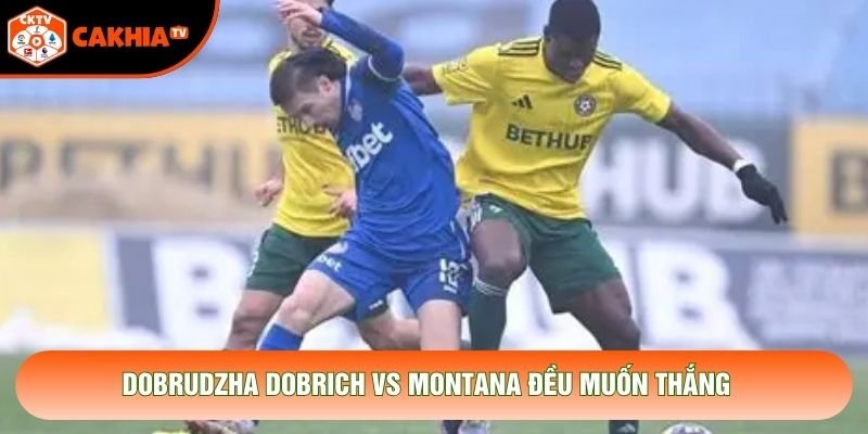Dobrudzha Dobrich vs Montana đều muốn thắng