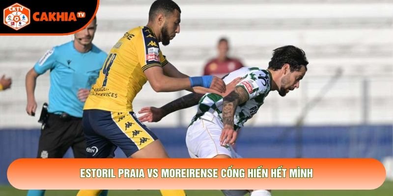 Estoril Praia vs Moreirense cống hiến hết mình Estoril Praia vs Moreirense cống hiến hết mình