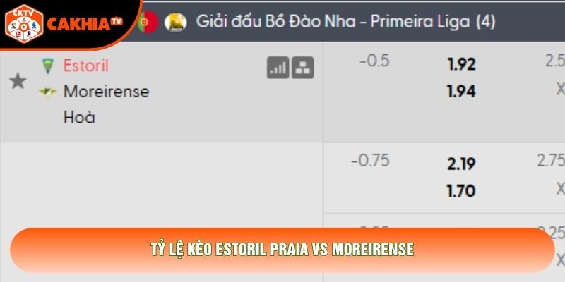 Tỷ lệ kèo Estoril Praia vs Moreirense Tỷ lệ kèo Estoril Praia vs Moreirense