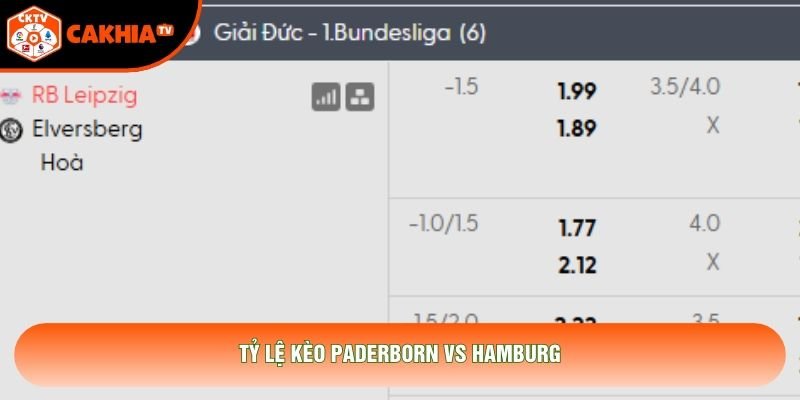 Tỷ lệ kèo Paderborn vs Hamburg